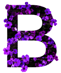 Logo blossom weddings